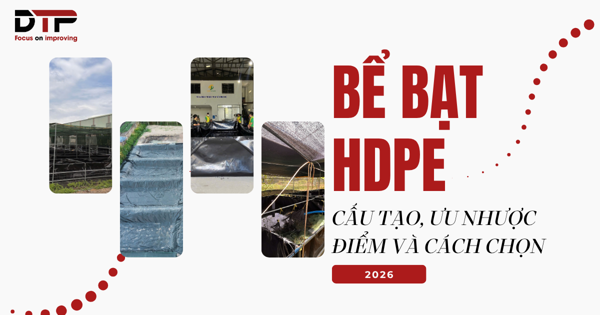 Bể Bạt HDPE Là Gì? Cấu Tạo, Ưu Nhược Điểm Và Có Nên Dùng Để Nuôi Thủy Sản Không